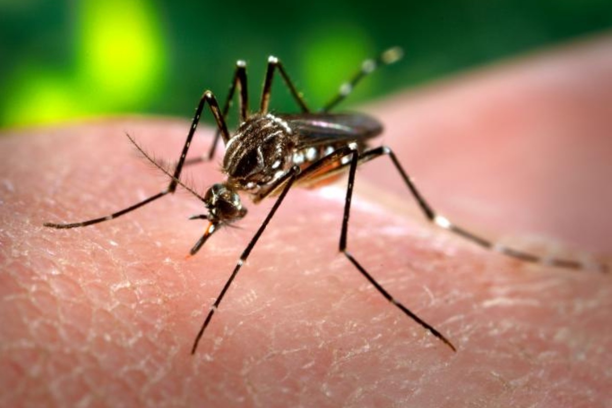 Dengue Outbreak in Ghaziabad