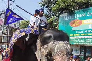 हाथी पर सवार होकर नामांकन करने पहुंचे बसपा प्रत्याशी धीरज सिंह बोले – चैनपुर में केवल सायरन बजाने का काम हुआ, अब होगा असली विकास