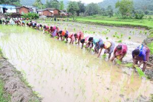 पीएम किसान योजना: दिवाली पर किसानों को नहीं मिली 21वीं किस्त, अब इस तारीख तक आने की उम्मीद
