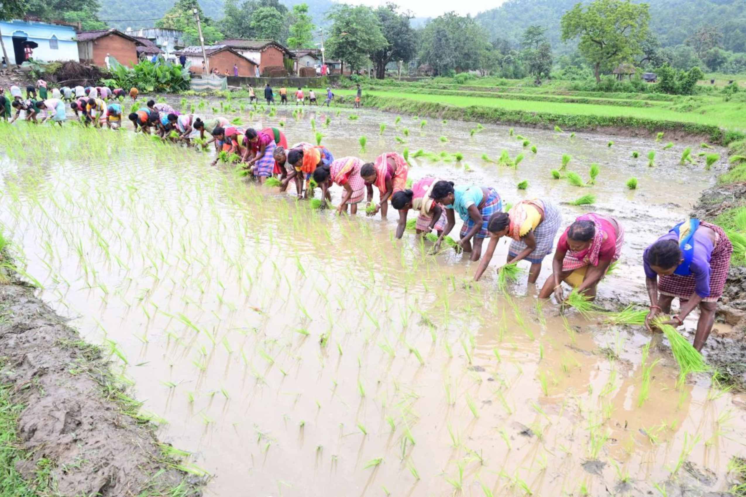 PM Kisan Yojana
