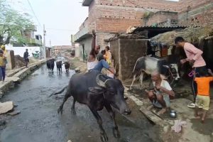 नालन्दा में मतदाता विरोध से मची राजनीतिक हलचल, वायरल वीडियो ने बढ़ाई सरगर्मी