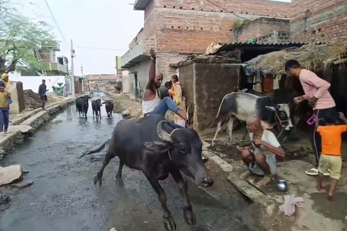 Nalanda Viral Video
