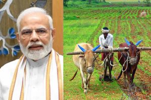 PM Kisan Yojana: 21वीं किस्त का इंतजार खत्म होगा कब? किसानों के खातों में कब आएंगे 2-2 हजार रुपये 4 PM Kisan Yojana: 21वीं किस्त का इंतजार खत्म होगा कब? किसानों के खातों में कब आएंगे 2-2 हजार रुपये