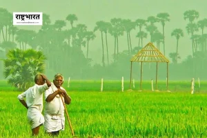 PM Kisan Yojana: आज खत्म होगा इंतज़ार! क्या किसानों के खाते में आएंगे 2-2 हजार रुपये? ऐसे चेक करें 21वीं किस्त का स्टेटस 1 PM Kisan Yojana: आज खत्म होगा इंतज़ार! क्या किसानों के खाते में आएंगे 2-2 हजार रुपये? ऐसे चेक करें 21वीं किस्त का स्टेटस