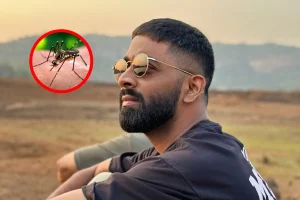 Bigg Boss 19 में डेंगू की एंट्री! प्रणित मोरे हुए बीमार, जानें लक्षण और बचाव के उपाय