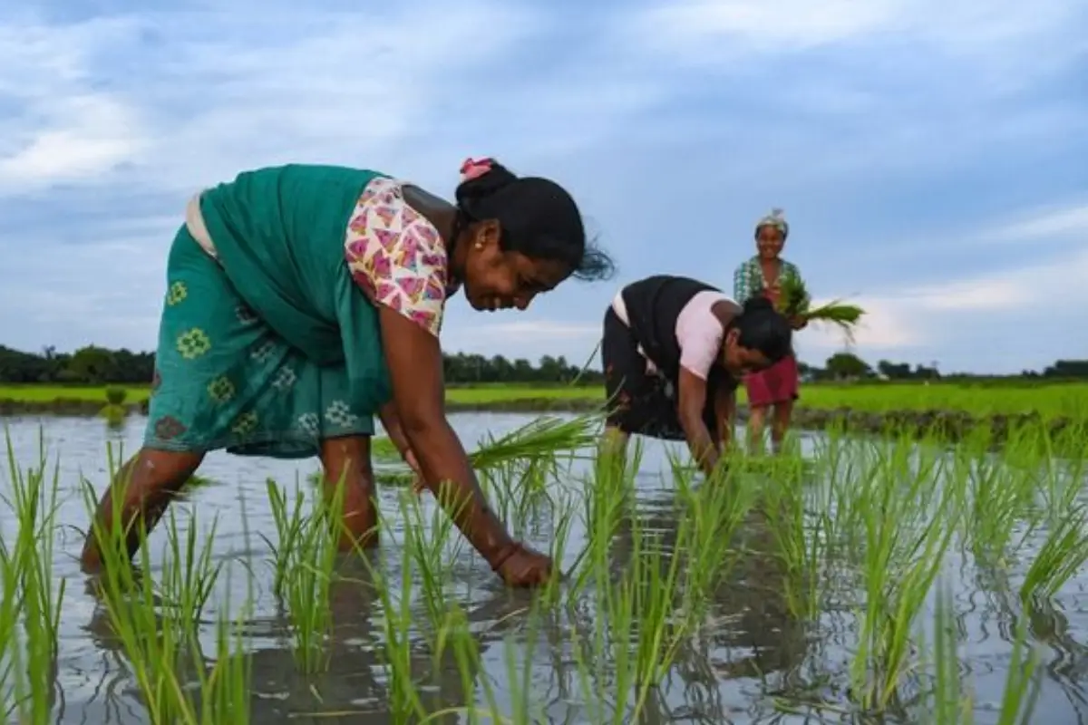 PM Kisan Yojana 21वीं किस्त अपडेट: इस हफ्ते कुछ किसानों के खाते में नहीं आएंगे पैसे, जानिए वजह