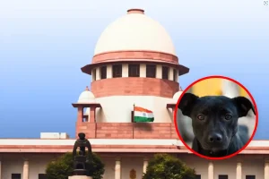 Supreme Court: सुप्रीम कोर्ट ने सार्वजनिक स्थलों से आवारा कुत्तों हटाने का 8 सप्ताह का आदेश जारी किया