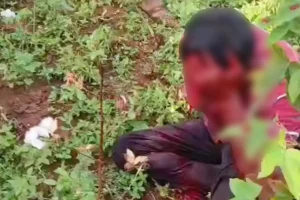 Tiger Attack Katli Borgaon: कटली बोरगांव में कपास तोड़ते समय युवक पर वाघ का भीषण प्राणघातक हमला