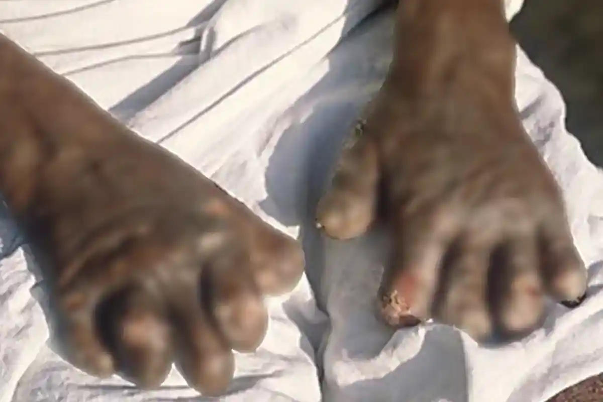 Maharashtra Health News