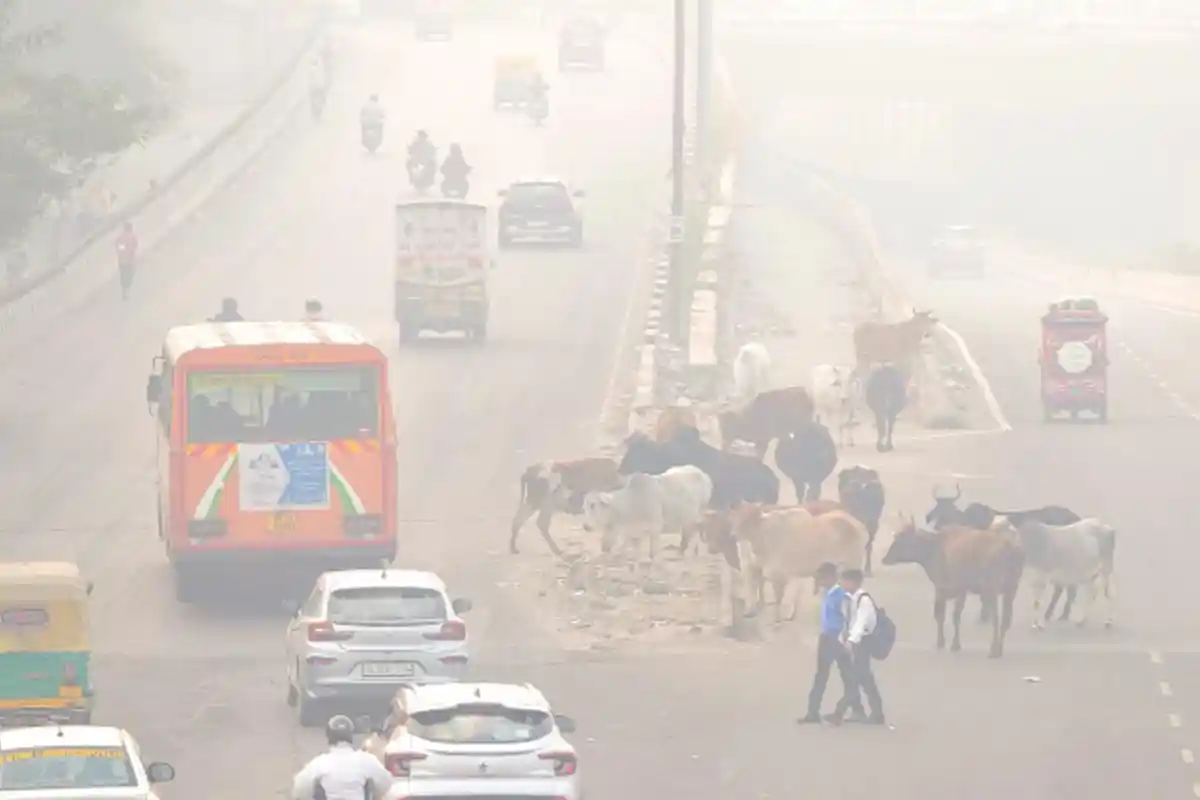 Delhi Air Pollution: दिल्ली सरकार के नए कदमों से प्रदूषण पर लगाम, सर्दियों में स्वच्छ हवा की उम्मीद 4 Delhi Air Pollution