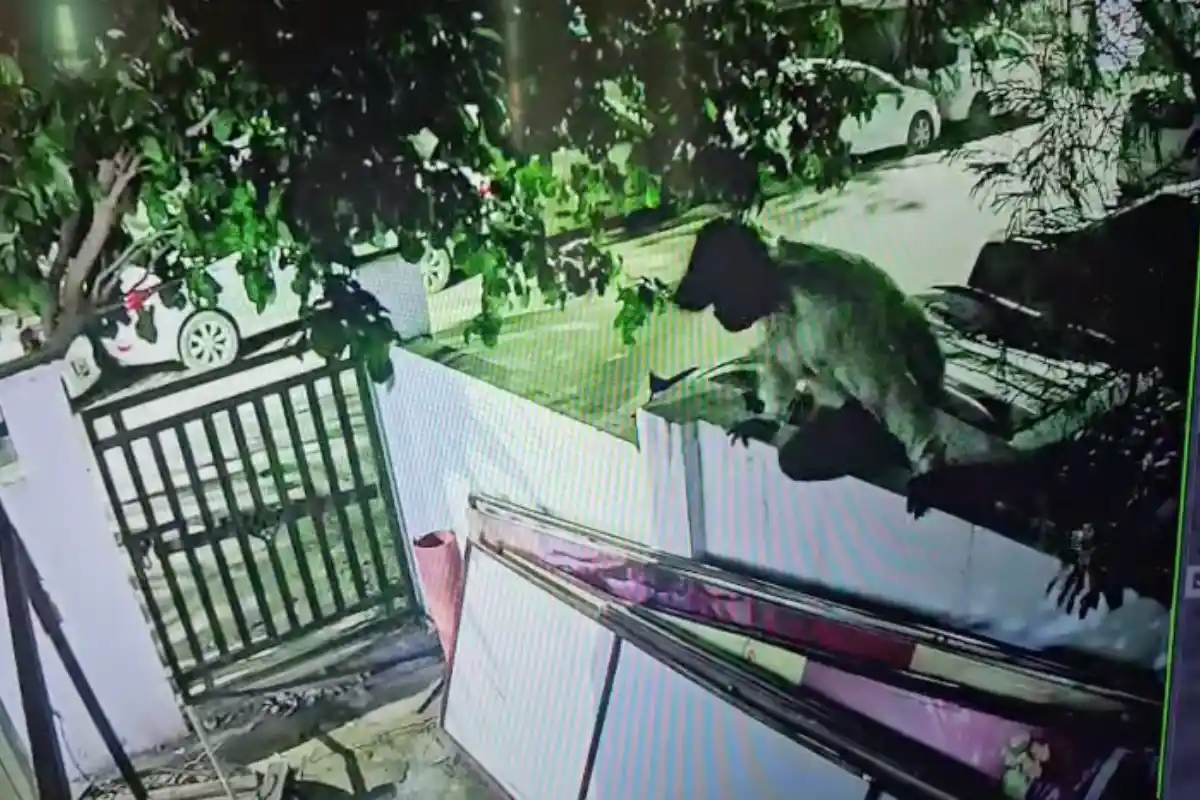 Nagpur Crime News: खरबी रोड क्षेत्र में पानी की मोटर चोरी की बढ़ती घटनाओं से फैली चिंता