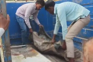 Siwan Father Shot Daughter: सिवान में पिता ने बेटी को गोली मारकर की हत्या, आत्महत्या की कोशिश से थर्राया इलाका