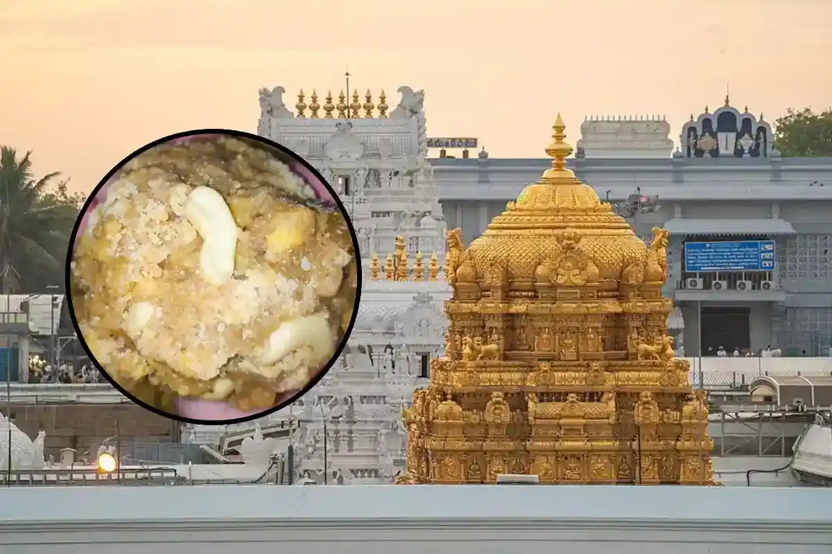 tirumala temple news