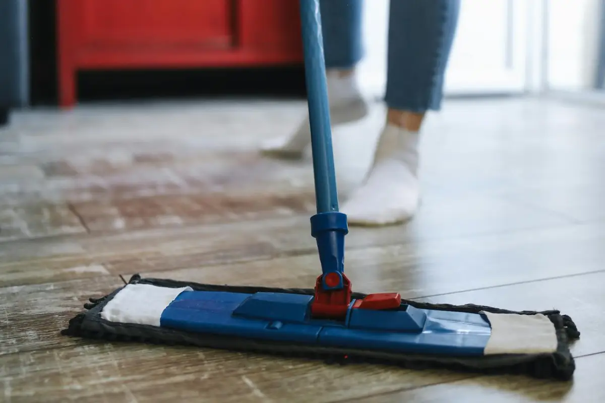 Vastu Tips: घर में सकारात्मक ऊर्जा बढ़ाने के आसान उपाय, मिलेगी सुख-समृद्धि और मानसिक शांति