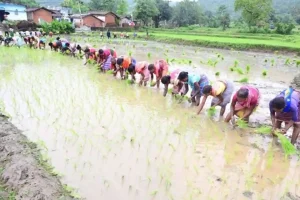 प्रधानमंत्री किसान सम्मान निधि की 21वीं किस्त 19 नवंबर को दोपहर 2 बजे जारी, किसानों को पूरी तैयारी रखने की सलाह