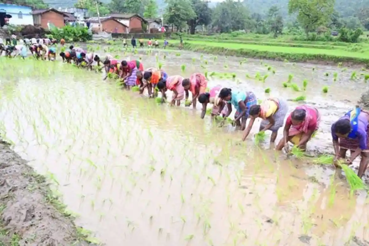 PM Kisan 21st Installment: