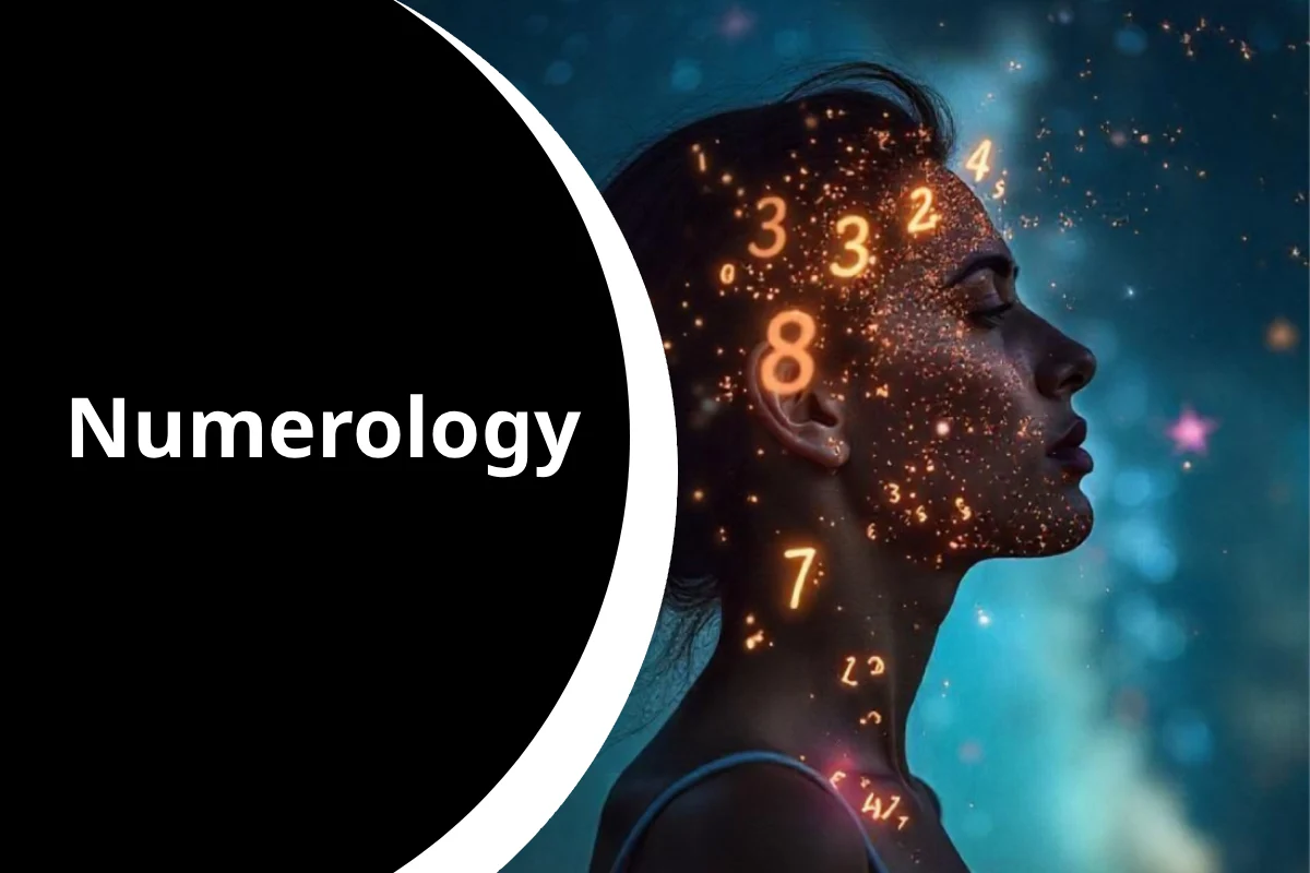 Numerology Mulank 6: मूलांक 6 वालों की खासियत, शुक्र ग्रह का प्रभाव और आकर्षक व्यक्तित्व की विशेषताएं