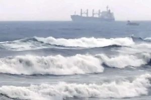 चक्रवाती तूफान ‘दितवाह’ तमिलनाडु की ओर बढ़ा, मुख्यमंत्री ने की समीक्षा बैठक