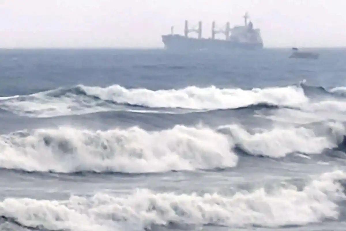 Tamil Nadu Cyclone: चक्रवाती तूफान दितवाह से तमिलनाडु में अलर्ट, सीएम स्टालिन ने बुलाई बैठक