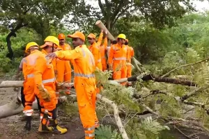तमिलनाडु सरकार चक्रवात दित्वाह से निपटने के लिए पूरी तरह तैयार