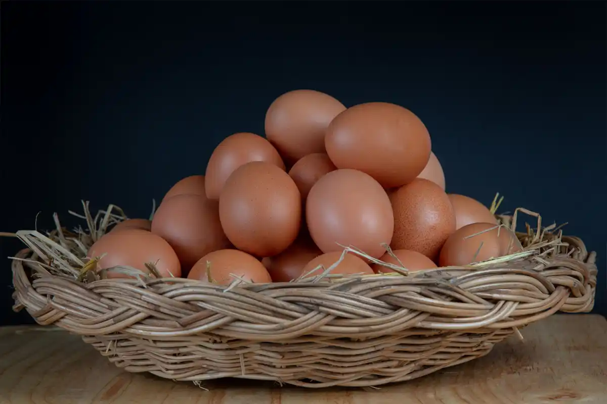 Egg Benefits at Night: रात में अंडा खाने से होते हैं ये जबरदस्त फायदे, जानें सही तरीका