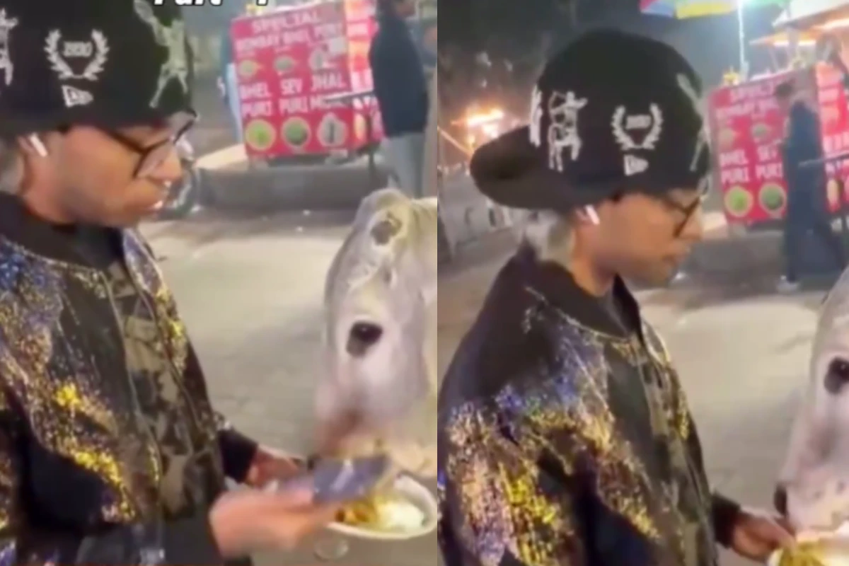 Cow Chicken Momos Case: गाय को चिकन मोमोज खिलाने पर बवाल