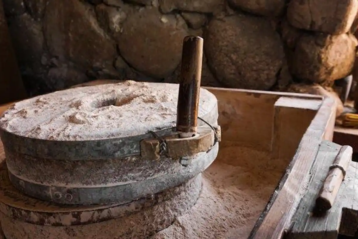 सर्दियों की खुशबू: 10 देशी खान-पान जो हमारे बचपन को वापस ला रहे हैं 17 Traditional Indian winter foods: सर्दियों के 10 पारंपरिक भारतीय खाने | हेल्दी विंटर डाइट