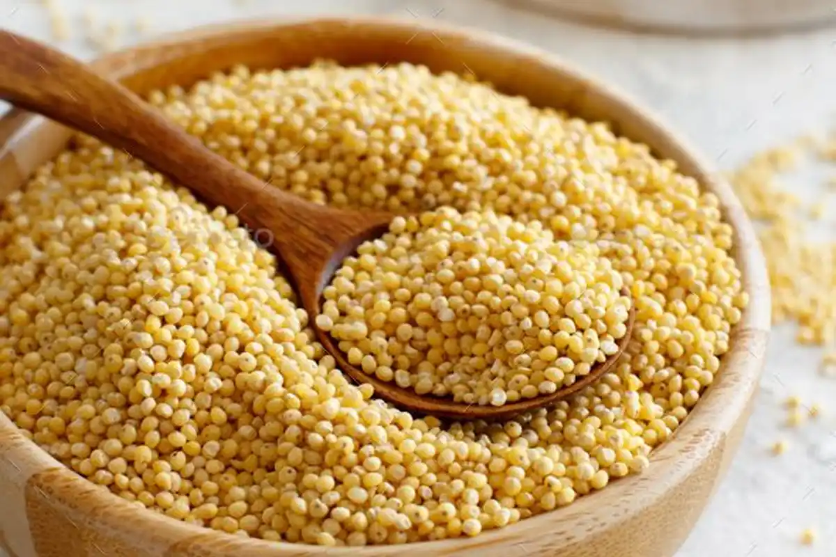 सर्दियों की खुशबू: 10 देशी खान-पान जो हमारे बचपन को वापस ला रहे हैं 14 Traditional Indian winter foods: सर्दियों के 10 पारंपरिक भारतीय खाने | हेल्दी विंटर डाइट