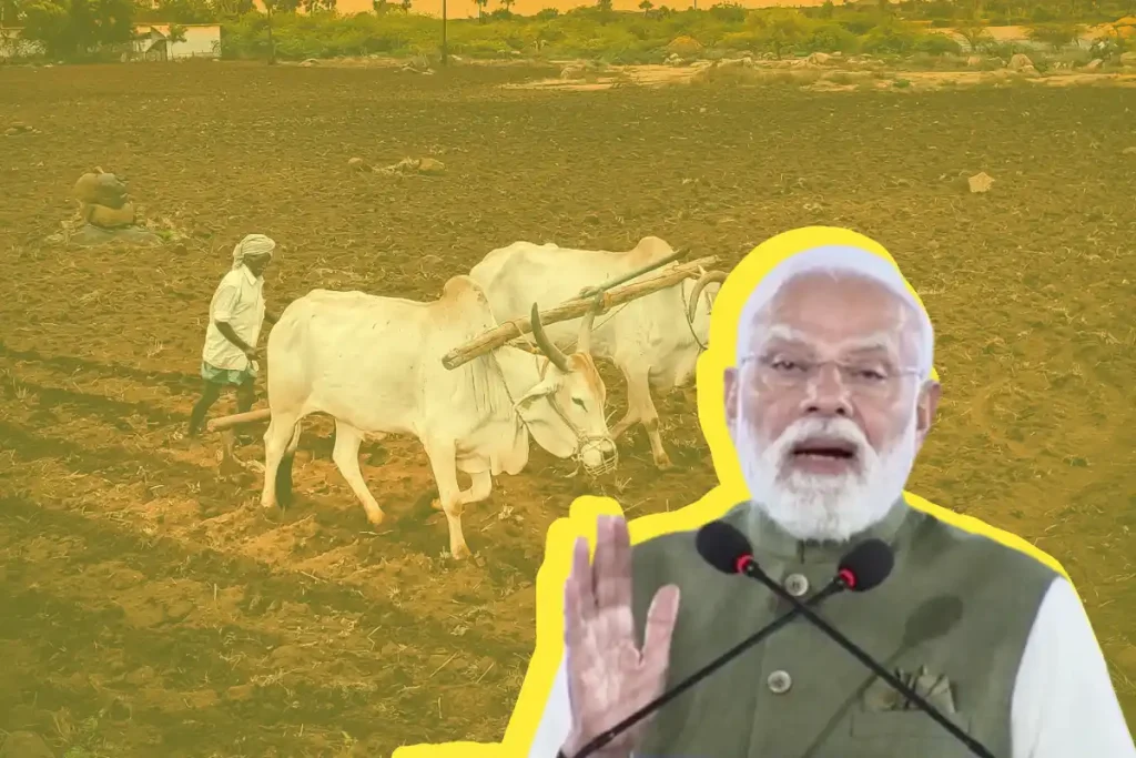 2026 सीजन के लिए कोपरा का समर्थन मूल्य बढ़ा, नारियल किसानों को मिलेगा बड़ा फायदा