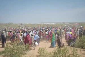 हाकिमपुर चेकपोस्ट पर सैकड़ों बांग्लादेशी नागरिकों की भीड़, SIR खत्म होने के बाद भी जारी है वापसी का सिलसिला