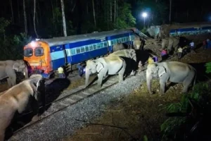 असम में बड़ा रेल हादसा! हाथियों के झुंड से टकराई ट्रेन, पांच डिब्बे पटरी से उतरे, 8 की मौत