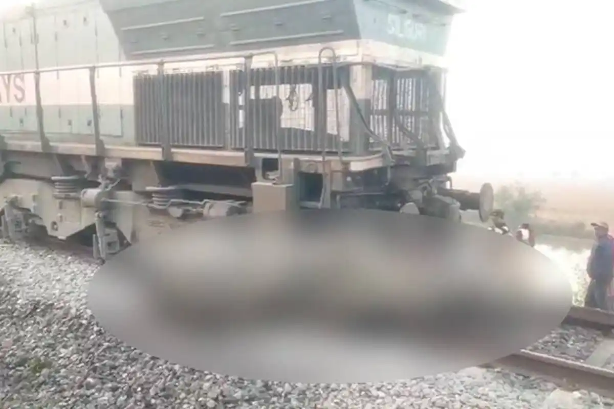 Assam Train Accident: राजधानी एक्सप्रेस से टकराकर आठ हाथियों की मौत, कई डिब्बे पटरी से उतरे