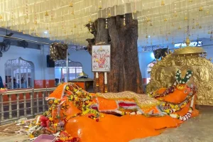 नववर्ष पर जामसांवली हनुमान मंदिर में उमड़ा भक्तों का सैलाब, हजारों ने लिए पवनपुत्र के आशीर्वाद