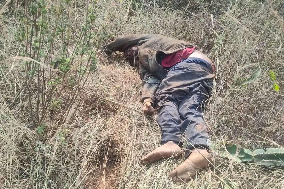 Odisha Khordha Elephant Attack: खोरधा में हाथी के हमले से युवक की मौत, परिवार को मिले 10 लाख रुपये