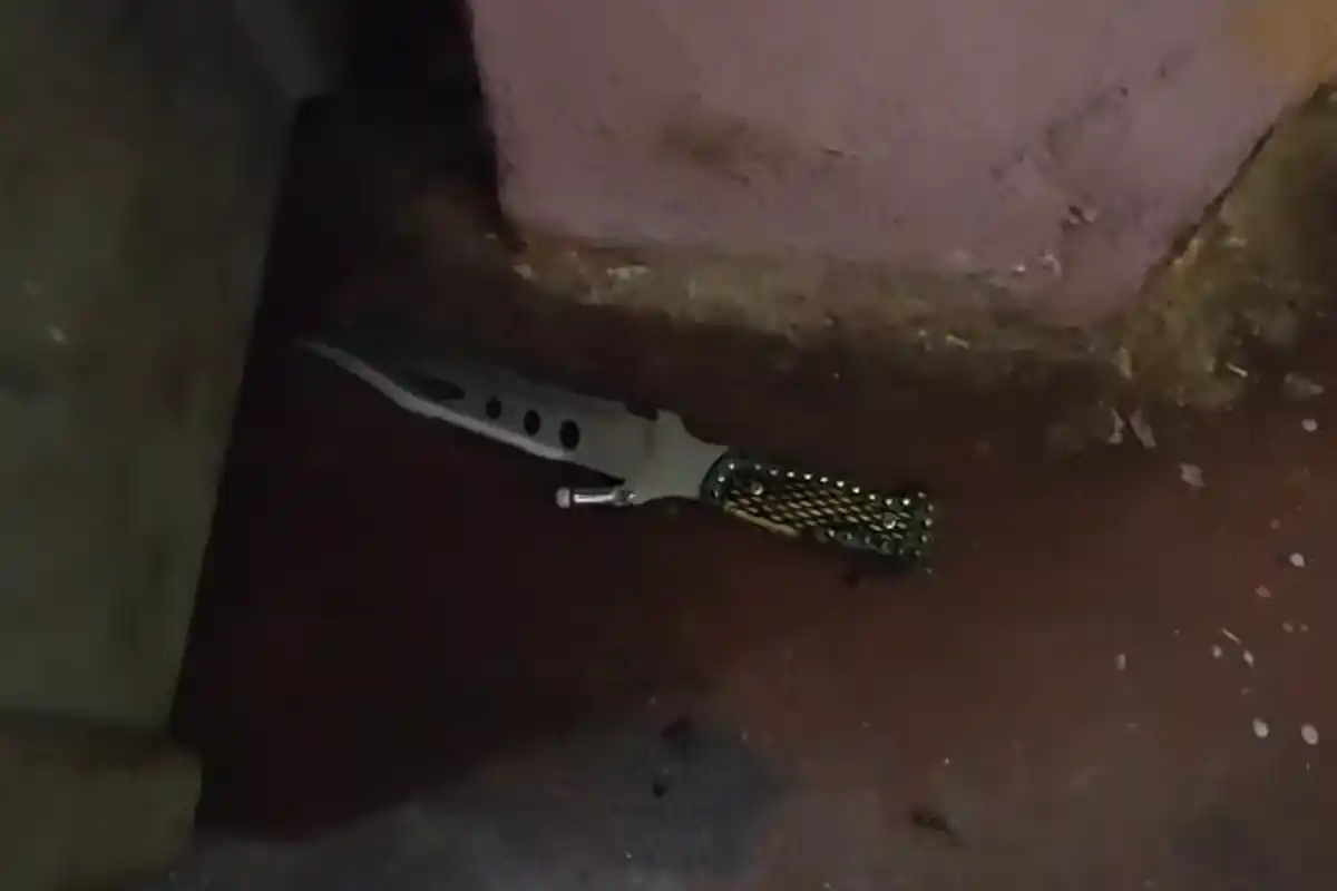 Nagpur Property Dispute Murder Attempt: नागपुर में पूर्व पत्नी ने की हत्या की कोशिश, तीन घायल