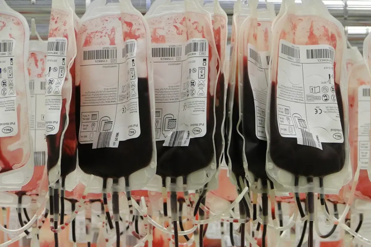 ब्लड बैंक में मिला जानवरों का खून