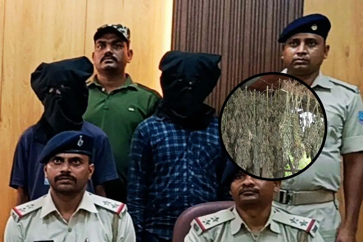 नागपुर में टोल प्लाजा पर ट्रक से 522 किलो गांजा बरामद, 2.61 करोड़ की तस्करी नाकाम