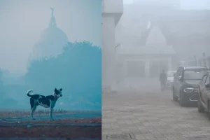 पश्चिम बंगाल में आने वाले पांच से सात दिनों तक तापमान में कोई बदलाव नहीं, घने कोहरे की चेतावनी