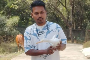 हिंगणा में नायलॉन मांजा में फंसे बगुले की बचाई गई जान, जागरूकता की अपील