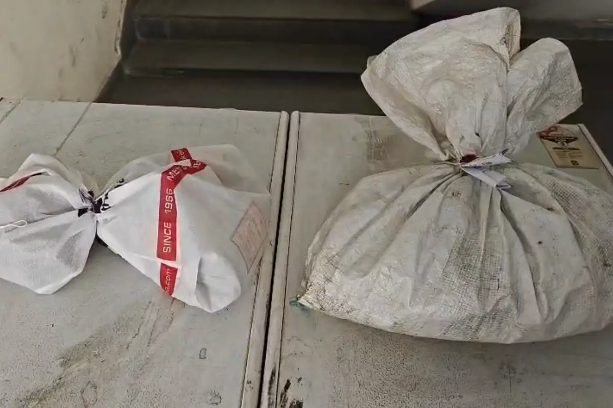 Nagpur Illegal Liquor Racket: पारडी थाना क्षेत्र में अवैध शराब बिक्री का भंडाफोड़, महिला आरोपी गिरफ्तार