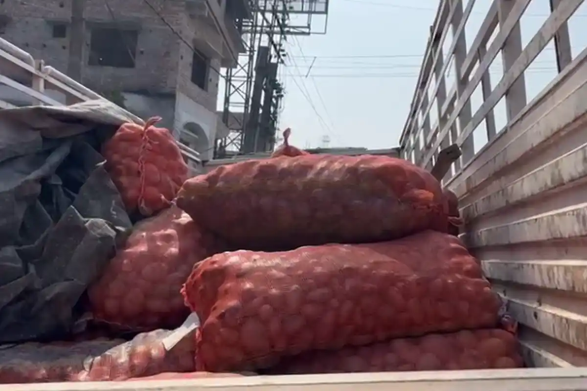 Barasat Ganja Seizure: बारासात में 300 किलो गांजा बरामदगी, एसटीएफ की बड़ी कार्रवाई