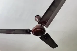 कोलकाता में अचानक भूकंप के झटके, लोग सड़कों पर उतरे