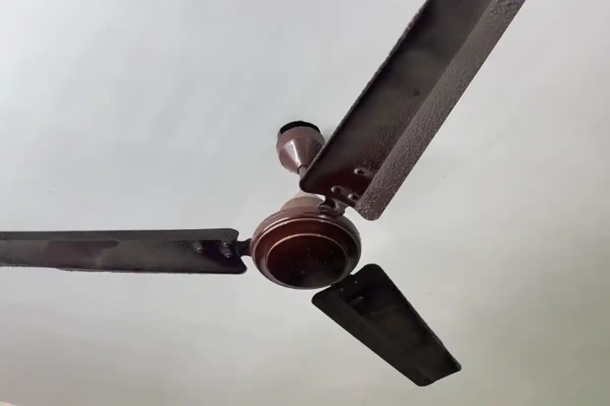 Kolkata Earthquake: कोलकाता में भूकंप के तेज झटके, जानें पूरी खबर