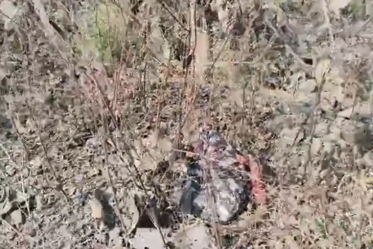 Umred Accident: उमरेड़ में दर्दनाक सड़क हादसे में दो लोगों की मौत, परिवार में शोक की लहर