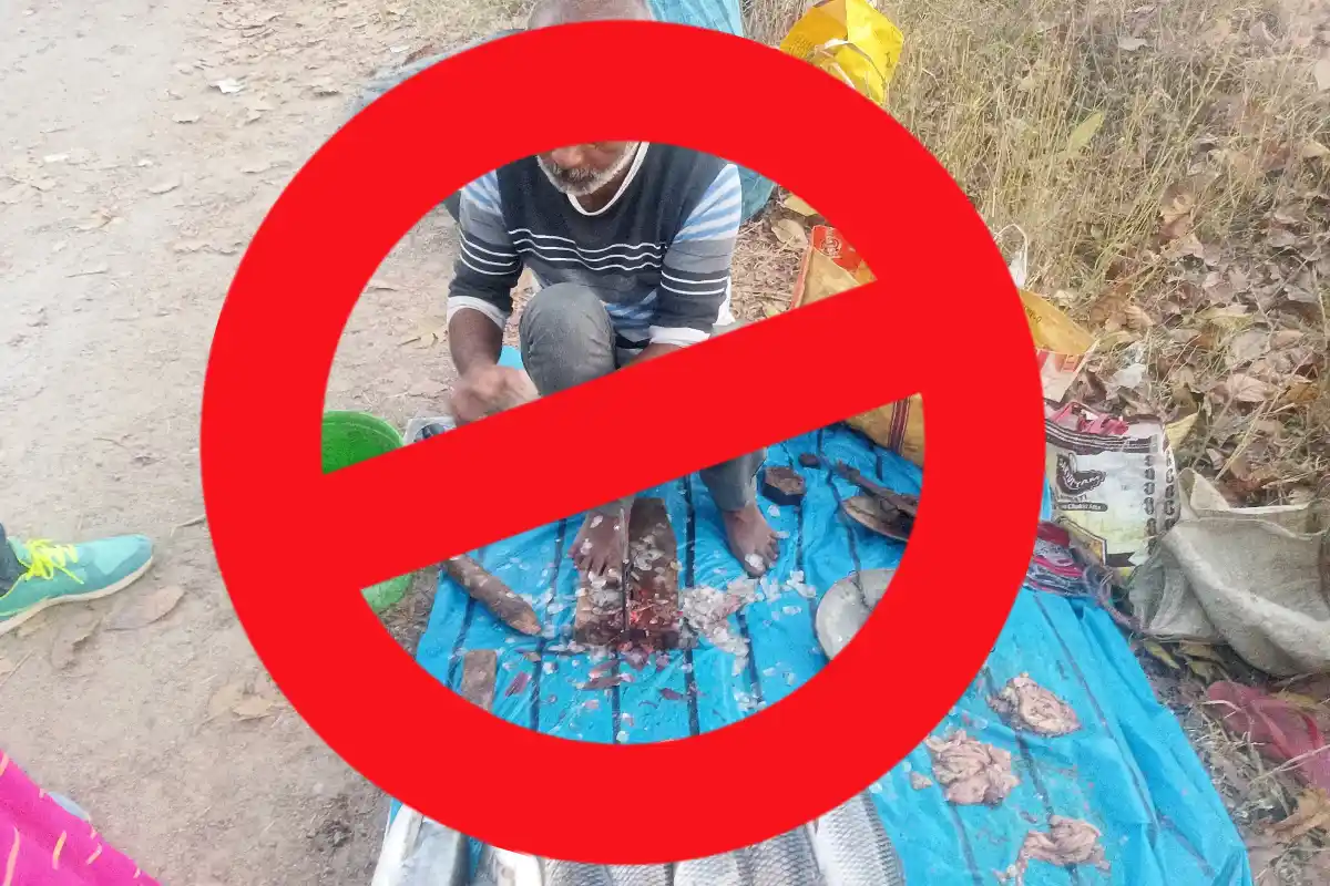 बिहार सरकार का बड़ा फैसला! खुले में नहीं बिकेगी मांस-मछली