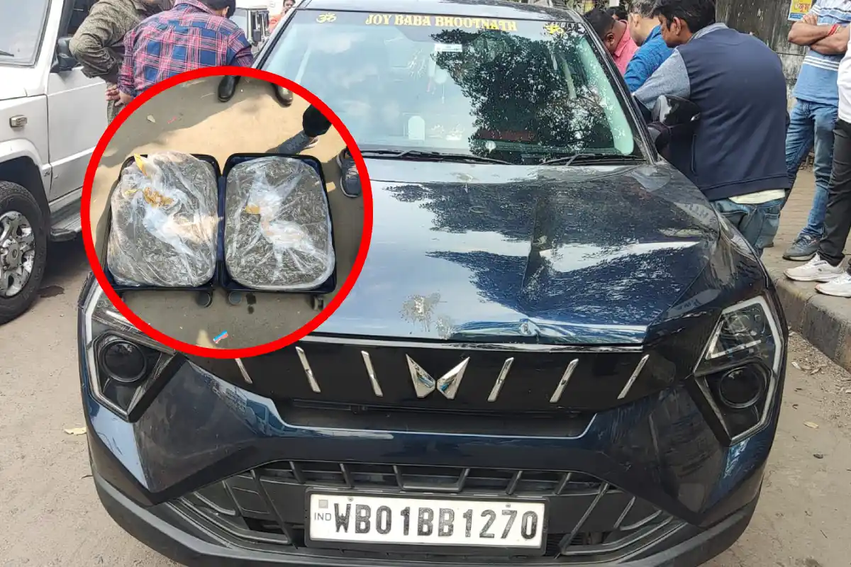 33 Kg Ganja Seized Cossipore Kolkata Two Arrested