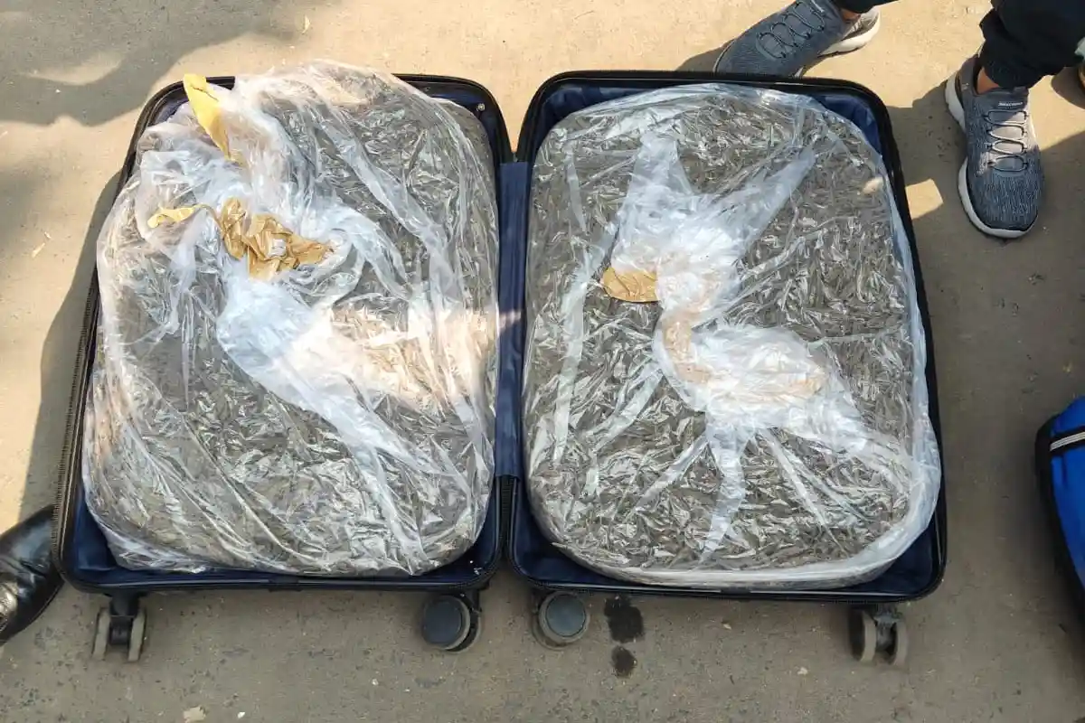 Kolkata Police News: कोलकाता के कोसीपुर में साढ़े तैंतीस किलो गांजे के साथ दो तस्कर गिरफ्तार, पूरा मामला जानिए 12 33 Kg Ganja Seized Cossipore Kolkata Two Arrested