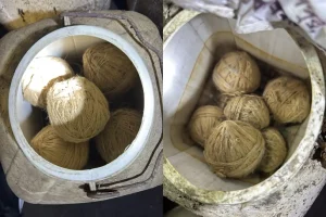 West Bengal Crime: बिजॉयगंज बाज़ार में अवैध हथियार और बम के साथ दो गिरफ्तार