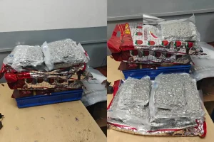 New Delhi IGI Airport Customs Ganja Seizure: इंदिरा गांधी एयरपोर्ट पर क्राबी से आए दो यात्रियों से 24 किलो गांजा जब्त, 23 करोड़ की नशीली सामग्री बरामद
