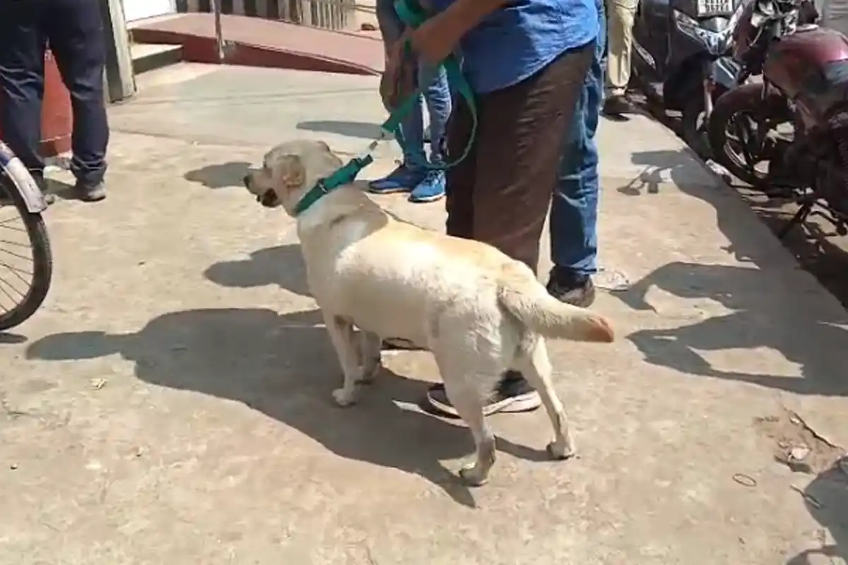 Bomb Threat Letter at Howrah Maidan Post Office Bomb Squad & Police in Action: हावड़ा मुख्य डाकघर में बम की धमकी से मची भगदड़ (Image Source: RB / Ekbal)